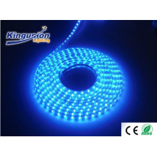 Kingunion Wearable digital de alta tensión de SMD 5050 60LEDs DC12V / 24V LED flexible tira de luz de la serie